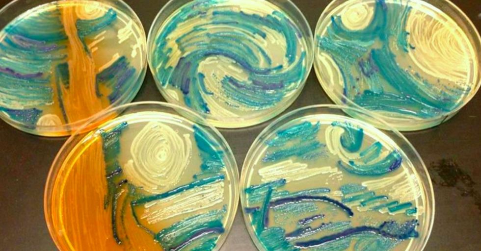 Van Gogh's 'Starry Night' was re-created with bacteria. It's as cool as it sounds.