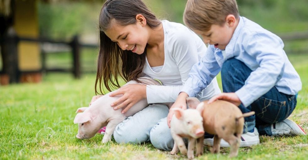5 reasons why vegetarians can feel great about their meat-free lives