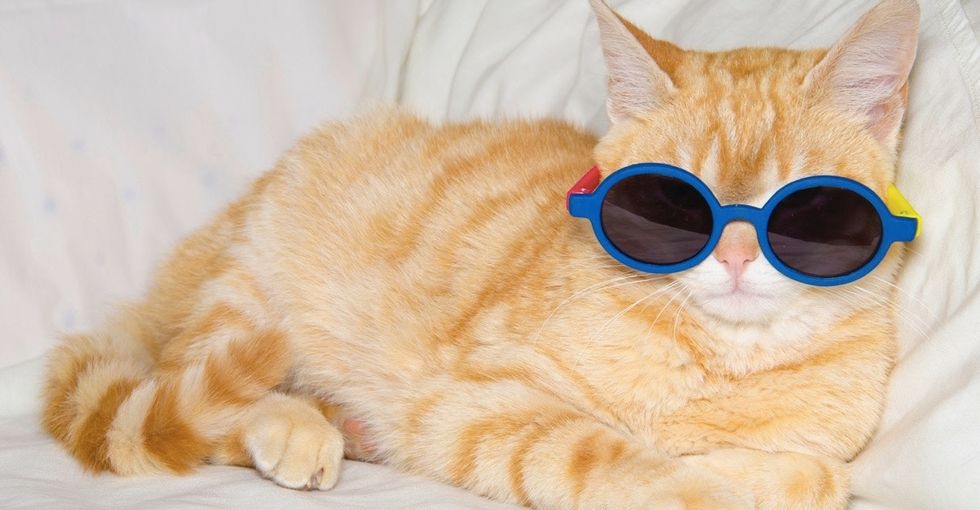 It turns out all that time spent surfing YouTube videos may actually pay off.