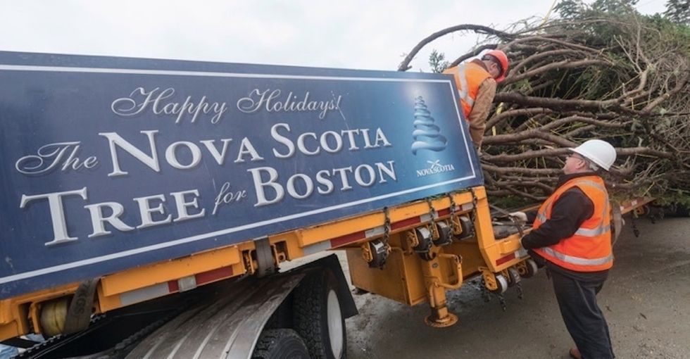 Why Halifax sends Boston an amazing thank-you gift every year.