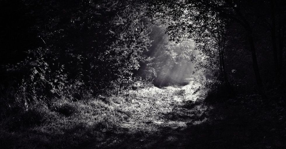 Scientists put a 'monster' in the woods just to see what would happen.