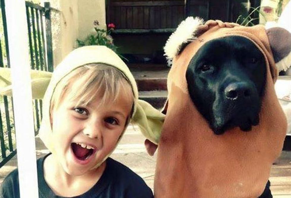 Service dogs are total heroes, and a black lab named Jedi reminds us why.