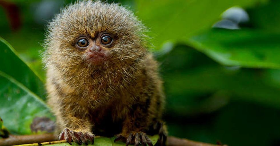 17 photos of animals that prove there's nothing natural about traditional gender roles.