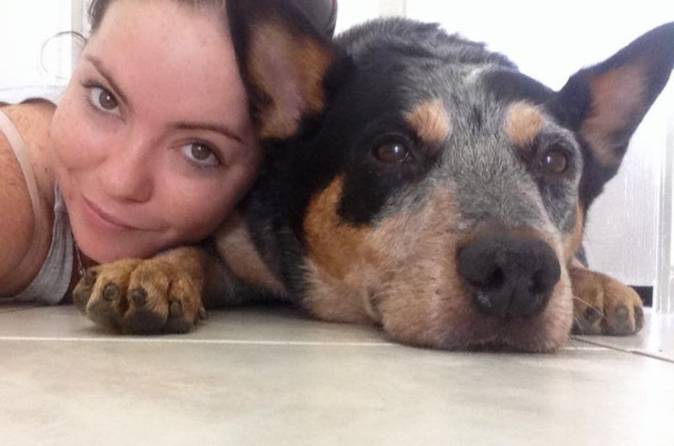 Buddy was given 6 weeks to live, so his owner created a bucket list for him.