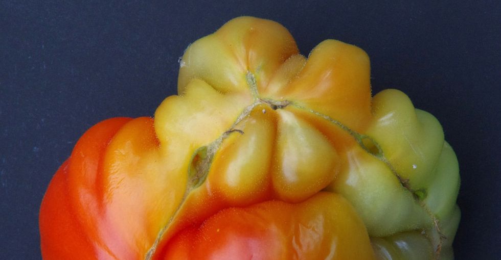 This food is super-ugly, mega-delicious, and helping to fight food waste.