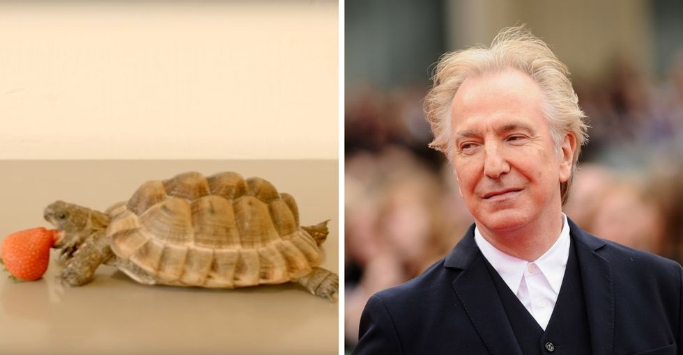 Remembering one of Alan Rickman's final roles — a student project. To help refugees.