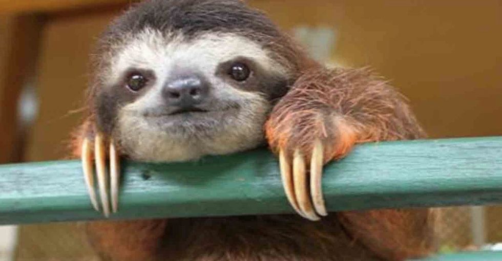 23 tweets that will totally make your day.
