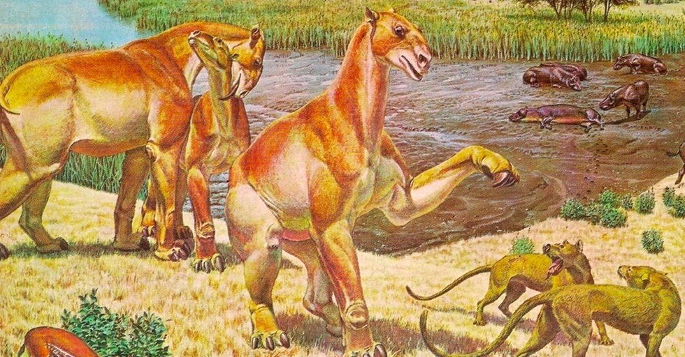 10 ancient beasts your pet might be related to.