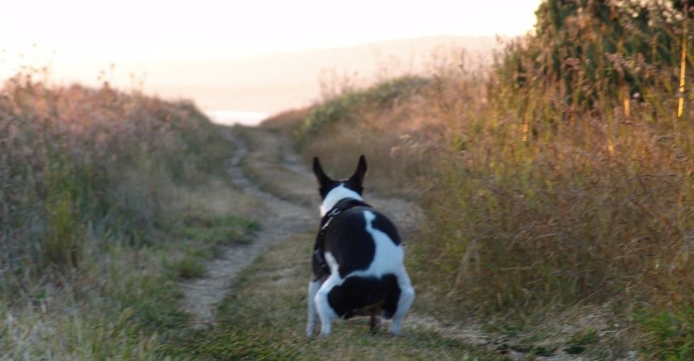 Yes, poop is gross. But that's not the only reason for its shameful social stigma.