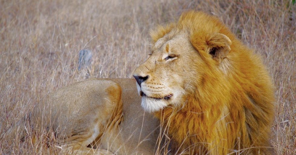 12 tips for that perfect nature selfie that won't hurt anyone or anything.