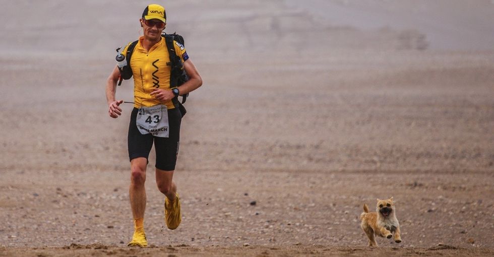 This adorable stray dog found a new home after following a runner into a race.