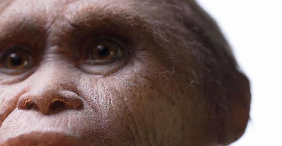 There were real hobbits and they lived on an island full of giants. Here's why.