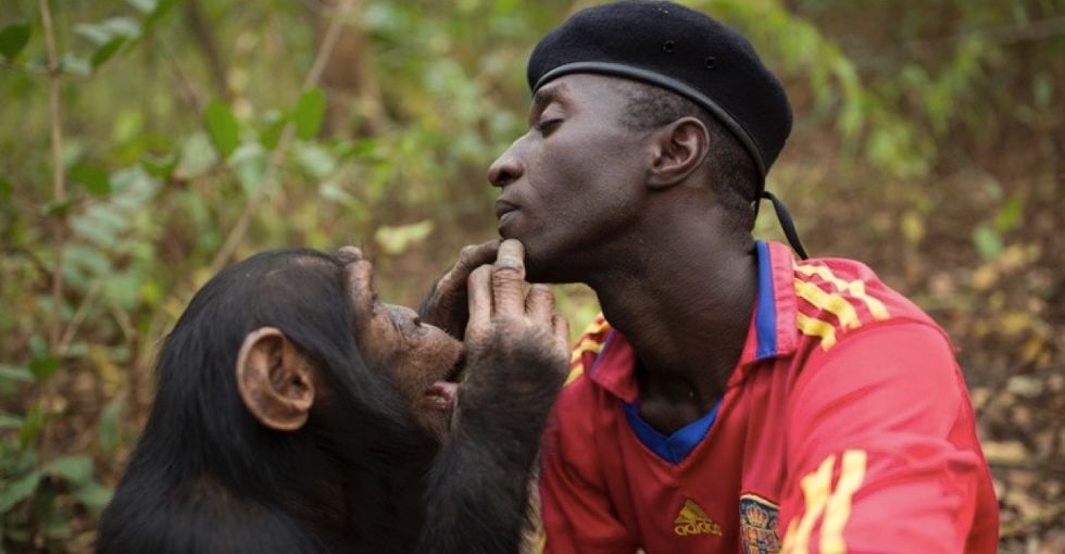 Take an inside look at a home dedicated to saving orphaned chimpanzees.