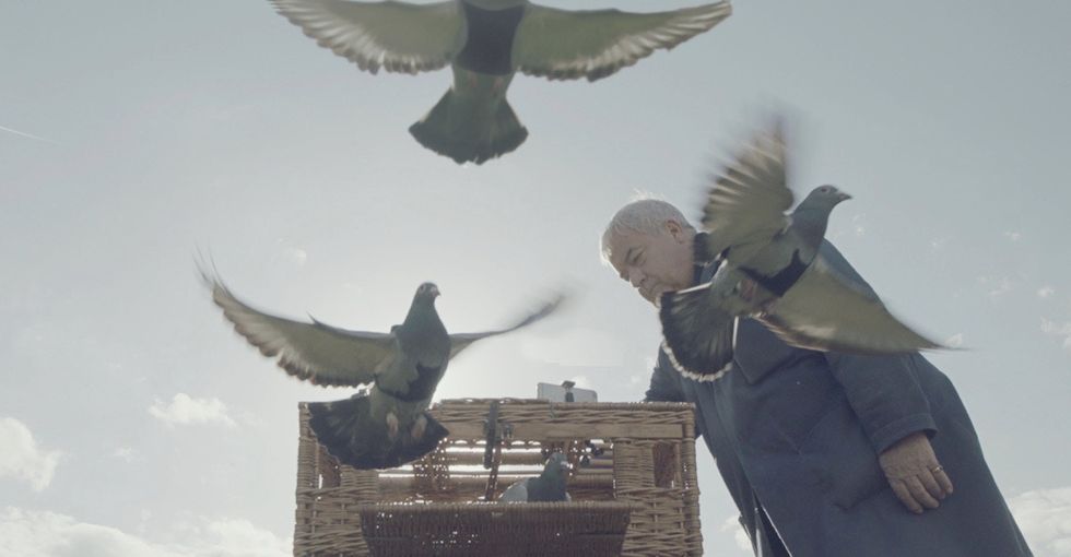 You have to see these pigeons with tiny backpacks. They're air quality superheroes.