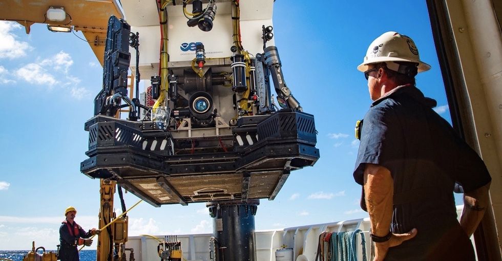 A rover dived to the bottom of the ocean. 15 photos show what it found there.
