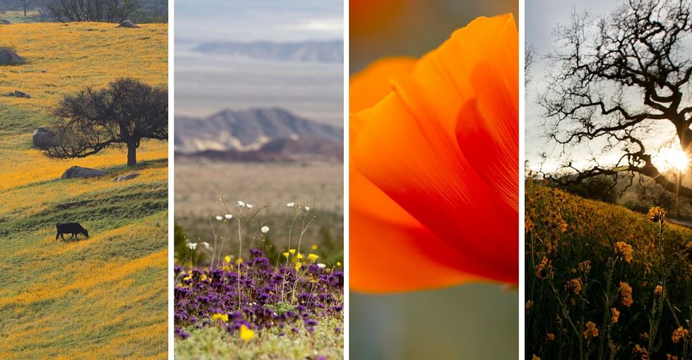 This is how El Niño is affecting California's devastating drought.