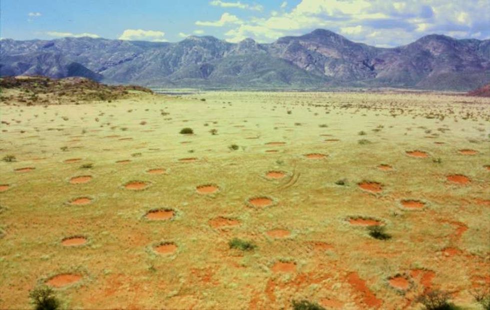These bizarre circles have baffled scientists for years. Now we may know what they are.