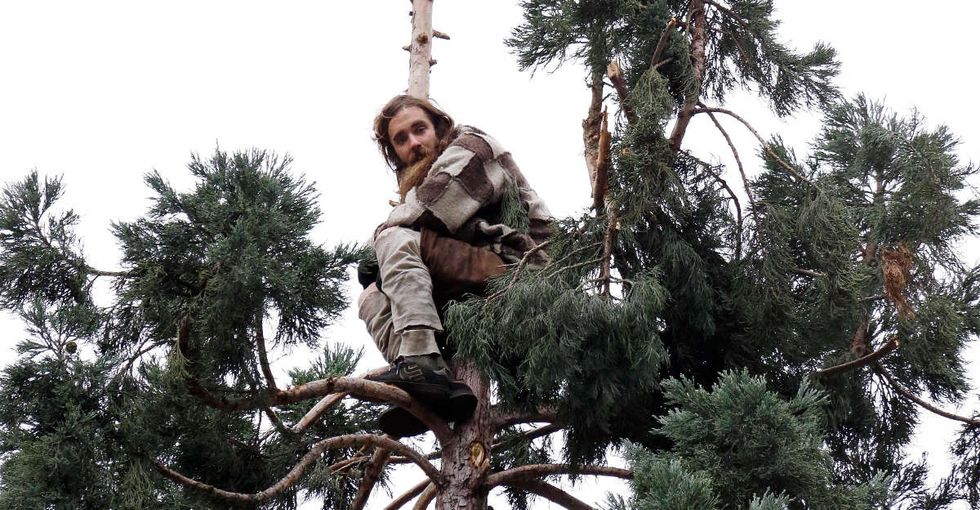 A man in a tree made a whole city laugh. Then his mom spoke out, and the laughing stopped.