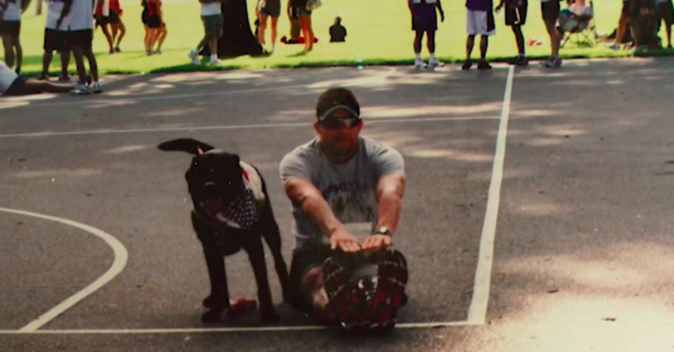 Love dogs? Watch how one pooch went above and beyond for his owner.