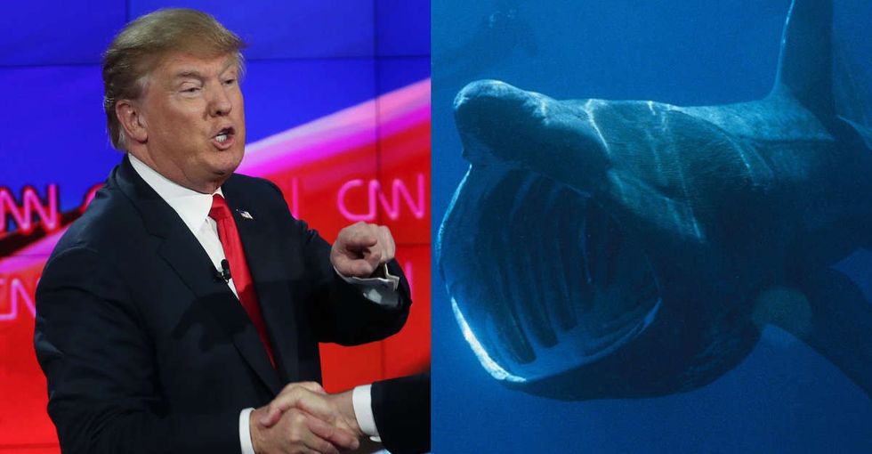 Dear fellow Americans: We don't need to be so afraid.