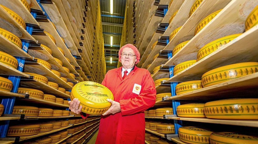 Billions of pounds of cheese are about to go to waste. Clearly America needs your help.