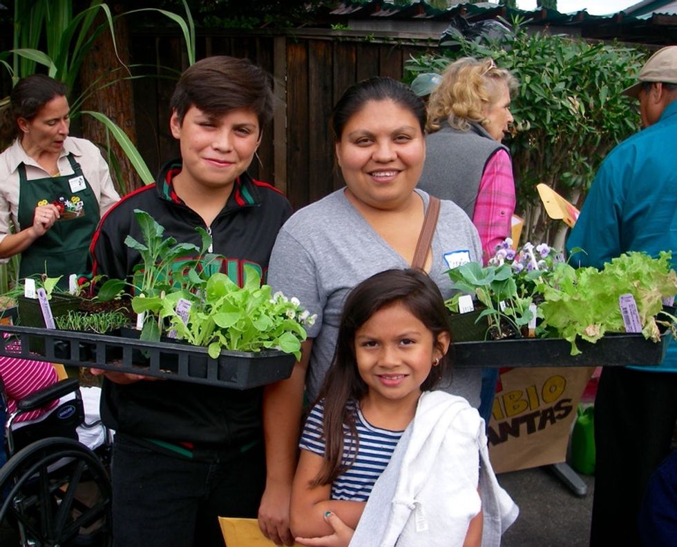 They set out to grow affordable food and found an incredible community.