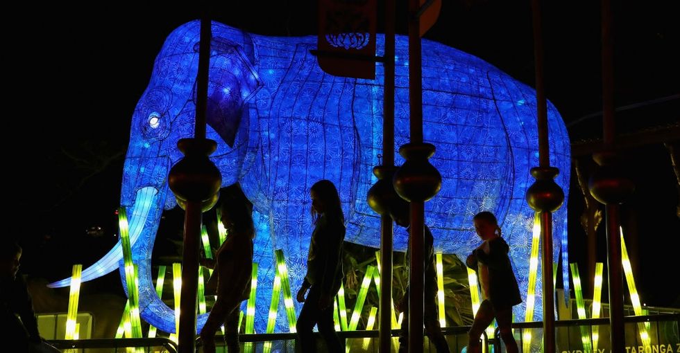 These incredible creatures are made of lights but will have a very real impact.