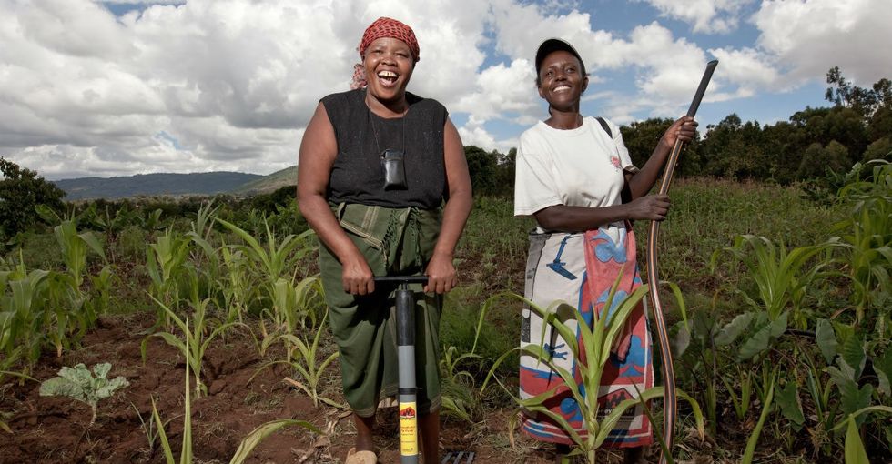The secret to cutting global hunger rates around the world? Hello, ladies.