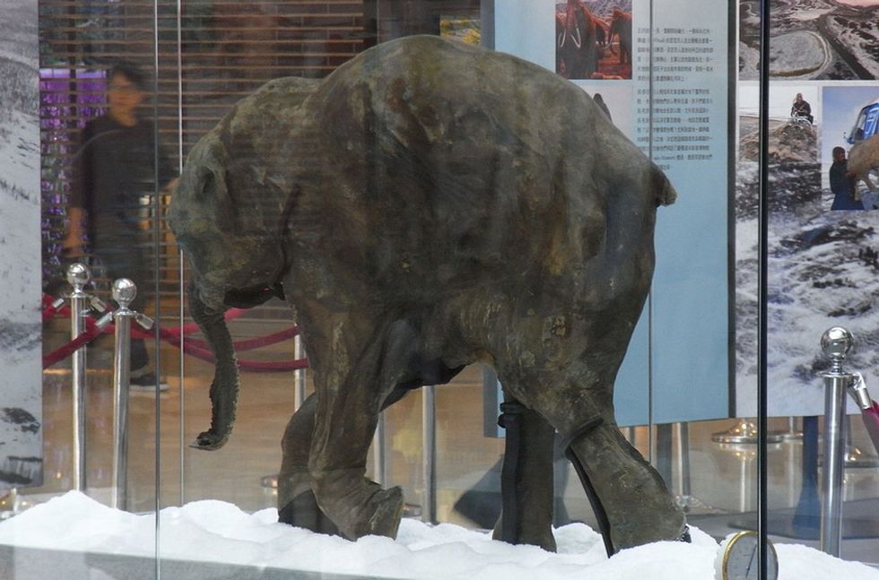 6 weird things that came out of nature's deep freeze and 1 we should worry about.