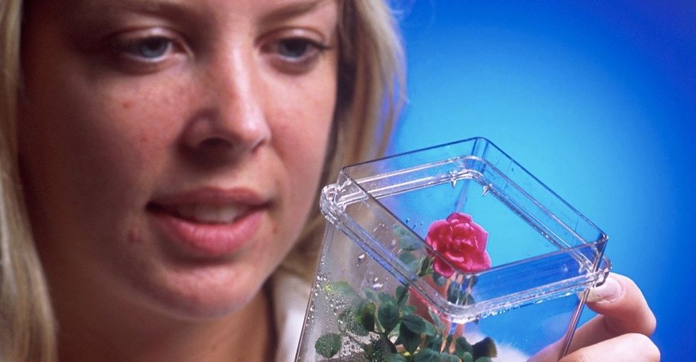 The cool new DIY science movement that's changing everything from animals to agriculture.