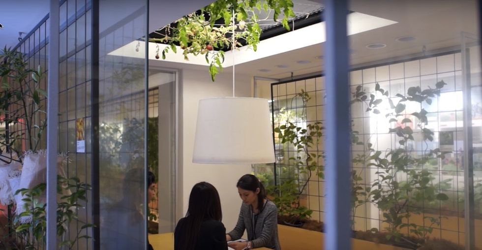 See 9 stunning vertical farms that could solve the planet's food crisis.