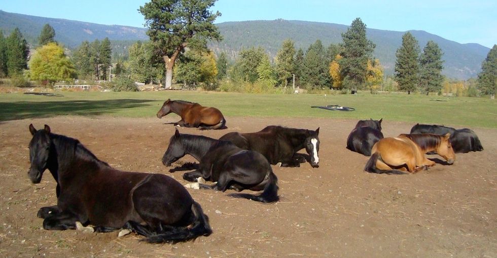 See gorgeous photos of the ranch this couple donated to help people with PTSD.