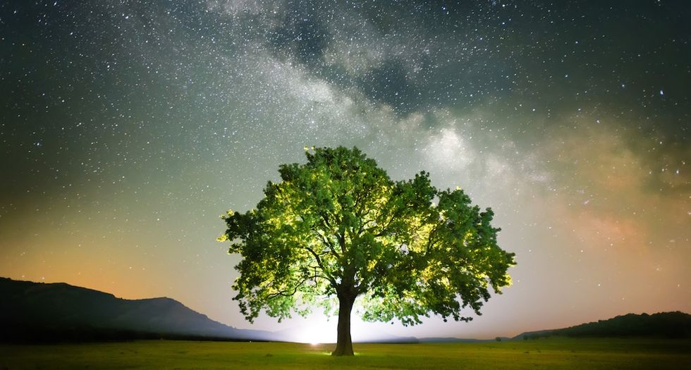 Feel better after being outside? There’s a scientific reason for that.