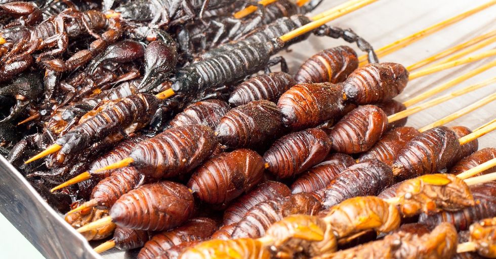 Hey, America: Edible insects just might be the next tasty taboo headed for your plate.