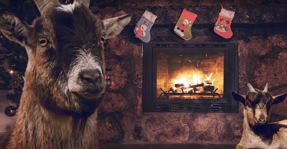 This is the Christmas album sung by goats you never knew you needed.