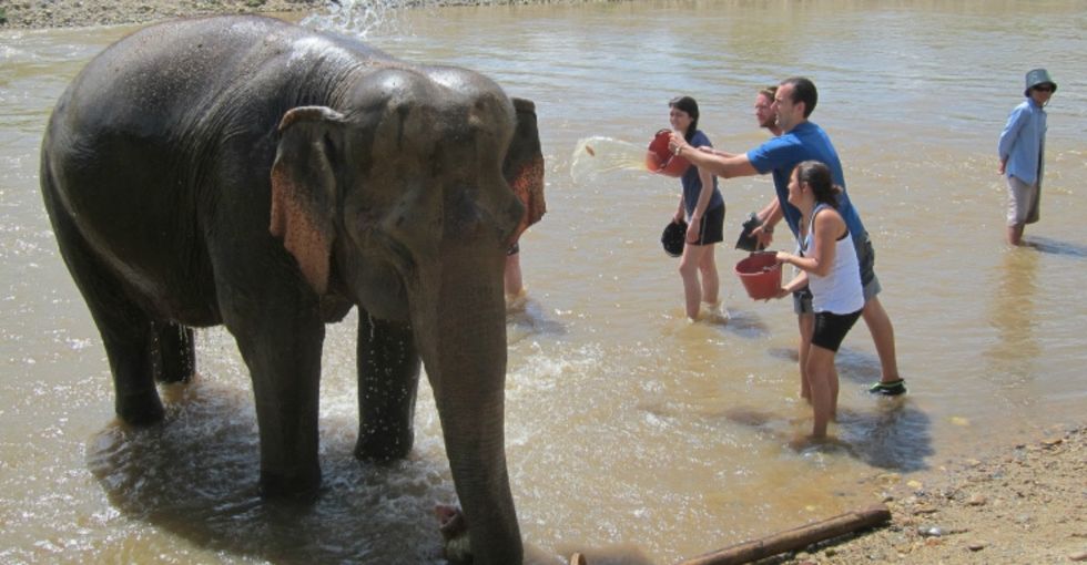 If riding an elephant was on your bucket list, here's why you might change your mind.