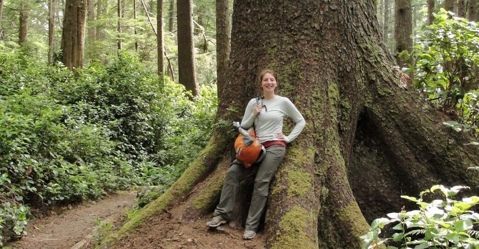 32 years separate this before and after of a beautiful Washington forest. Take a look.