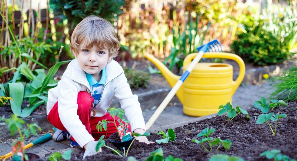 Why lawns are pretty much the worst, and what these Nebraskans are doing about it.