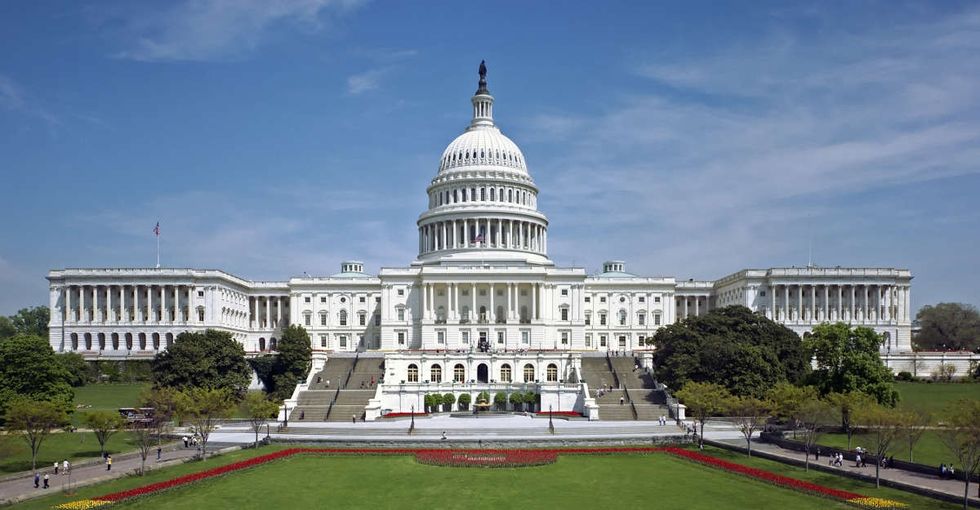 Meet the badass citizens lobbying red-state Congress members to oppose Trump.
