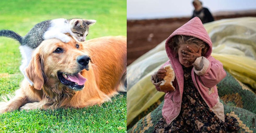 The one species Congress' new animal caucus is truly neglecting, and 5 ways it can help.
