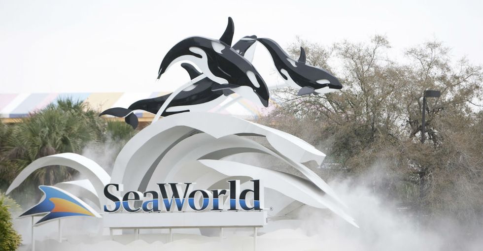 News out of SeaWorld shows just how big of an impact 'Blackfish' has had.