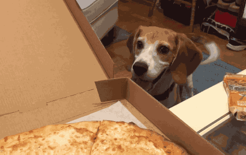 img.gif