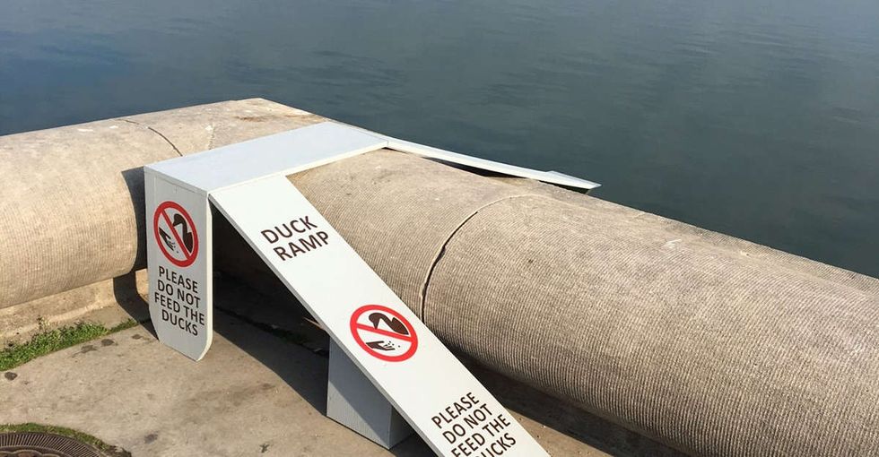 A congressman called this ramp 'government waste.' It didn't go well for him.