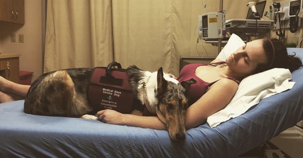 13 dogs with jobs are further proof that humans owe a lot to this exceptional species.