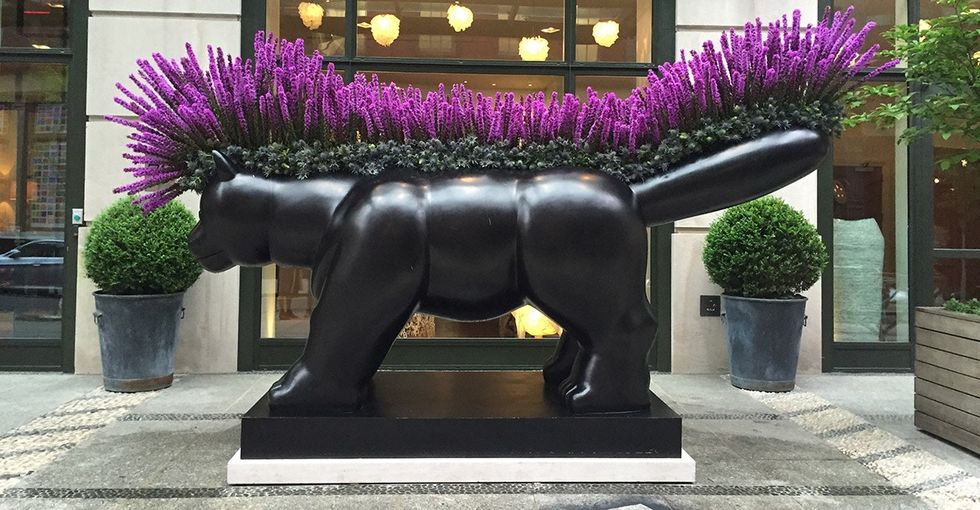 His must-see 'flower flashes' bring color and whimsy to urban spaces.