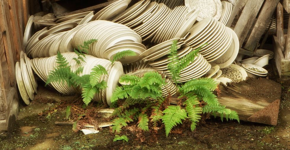 9 haunting photos of nature reclaiming forgotten structures.