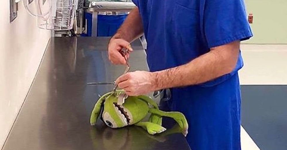 A doctor did surgery on a boy's stuffed animal. The response from other parents was sweet.