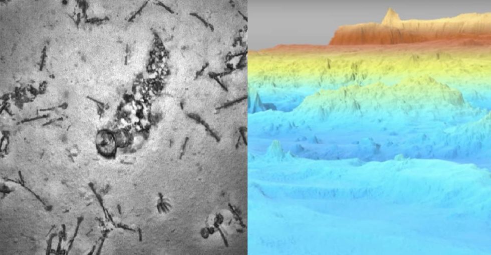 They looked for missing Flight MH370 for 3 years. Here's what they found instead.