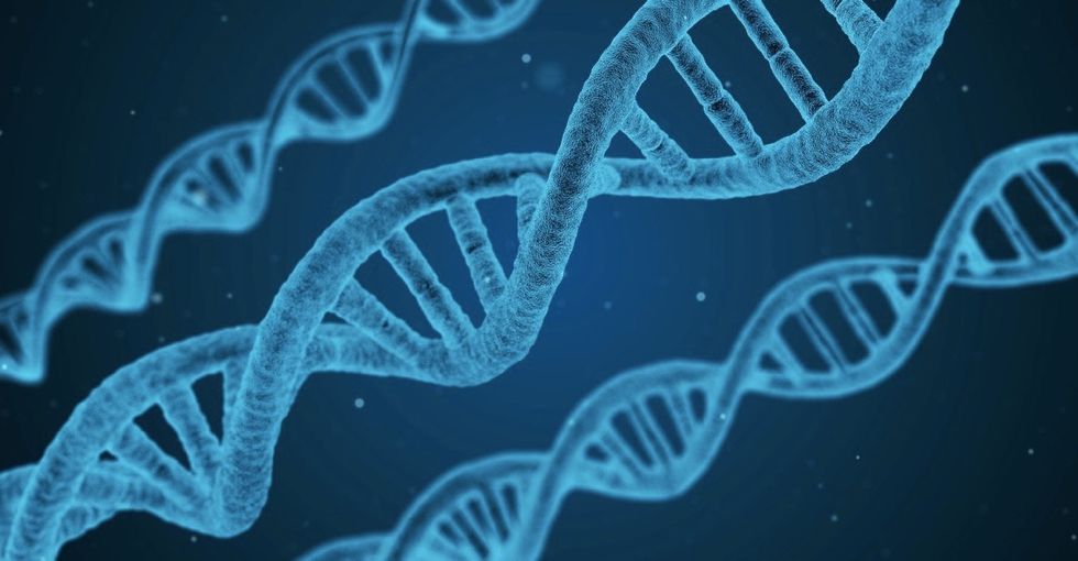 This Huntington's disease trial shows how promising gene editing may be.