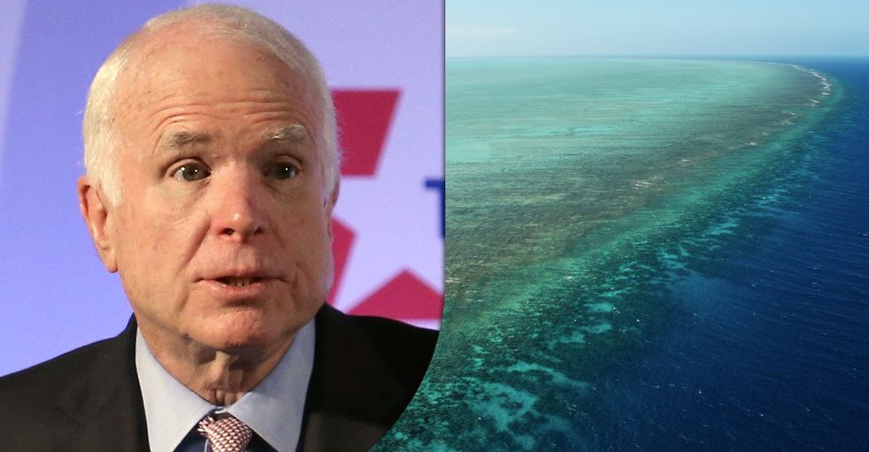 How John McCain's Great Barrier Reef comments could change hearts and minds.